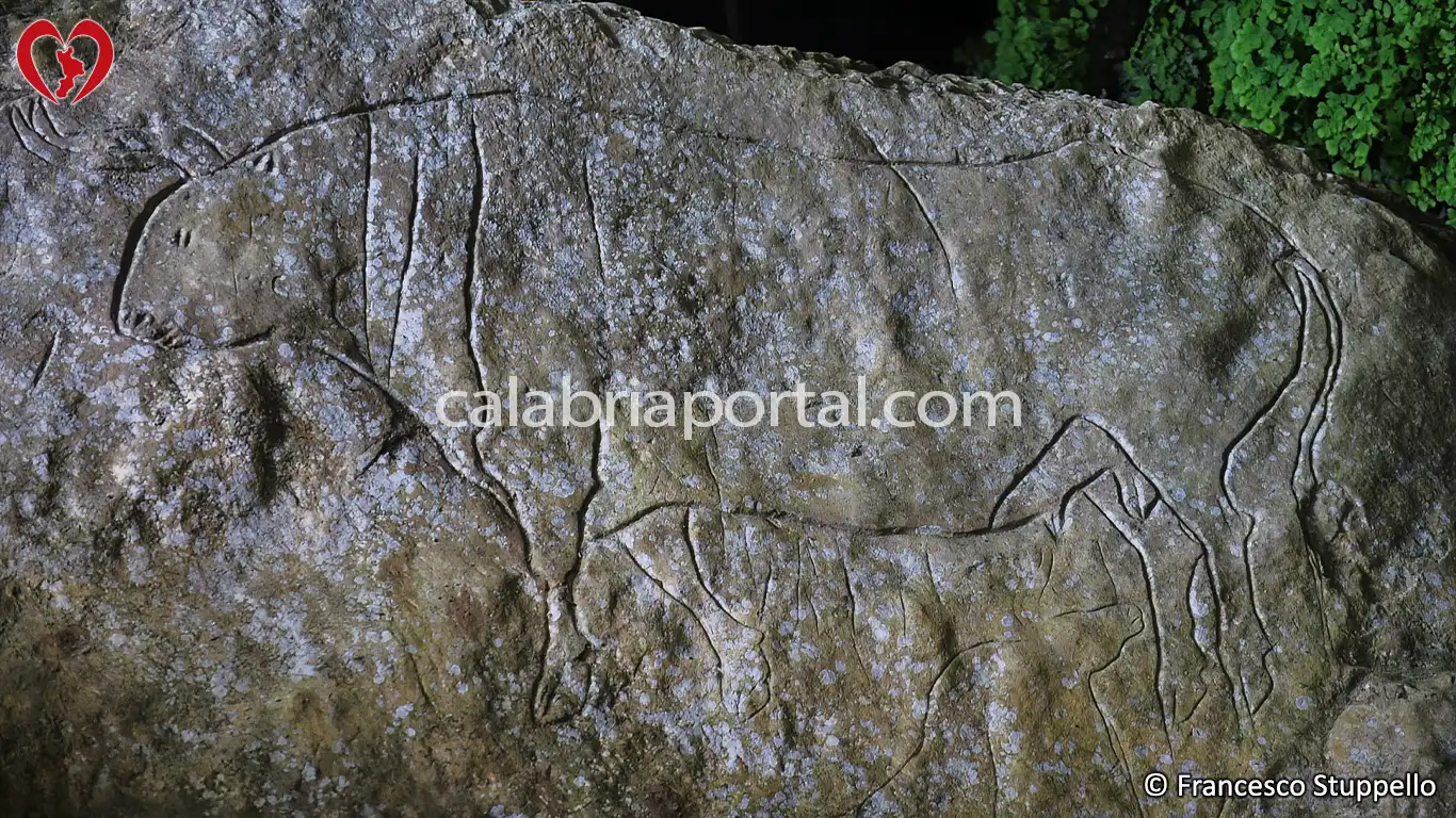 Graffito del Bos Primigenius della Grotta del Romito a Papasidero