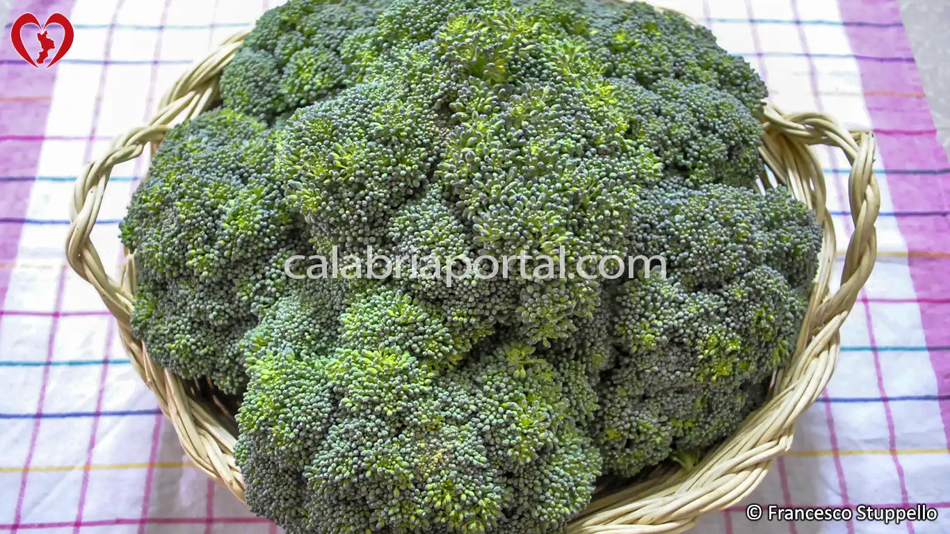 Ricetta delle Frittelle di Broccoli alla Calabrese: ingredienti