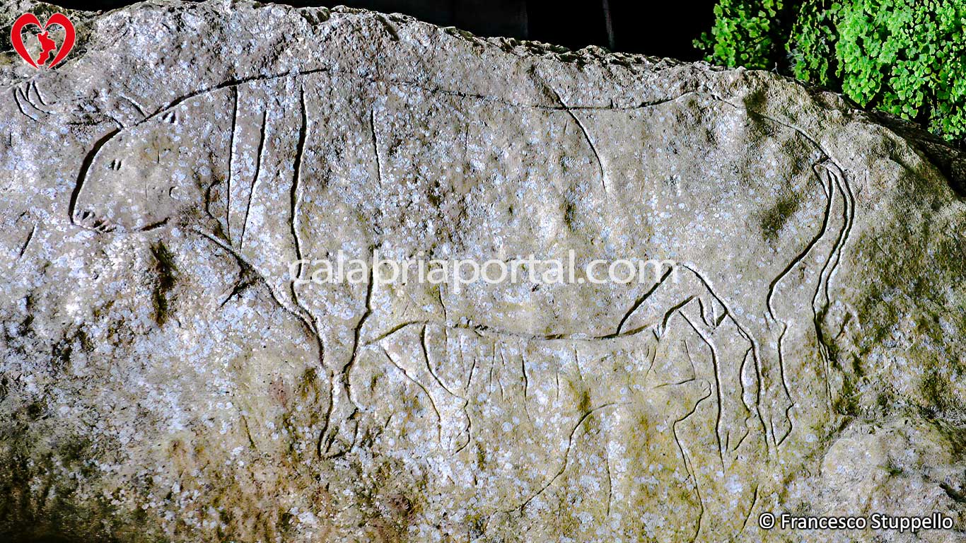Graffito della Grotta del Romito a Papasidero (CS)