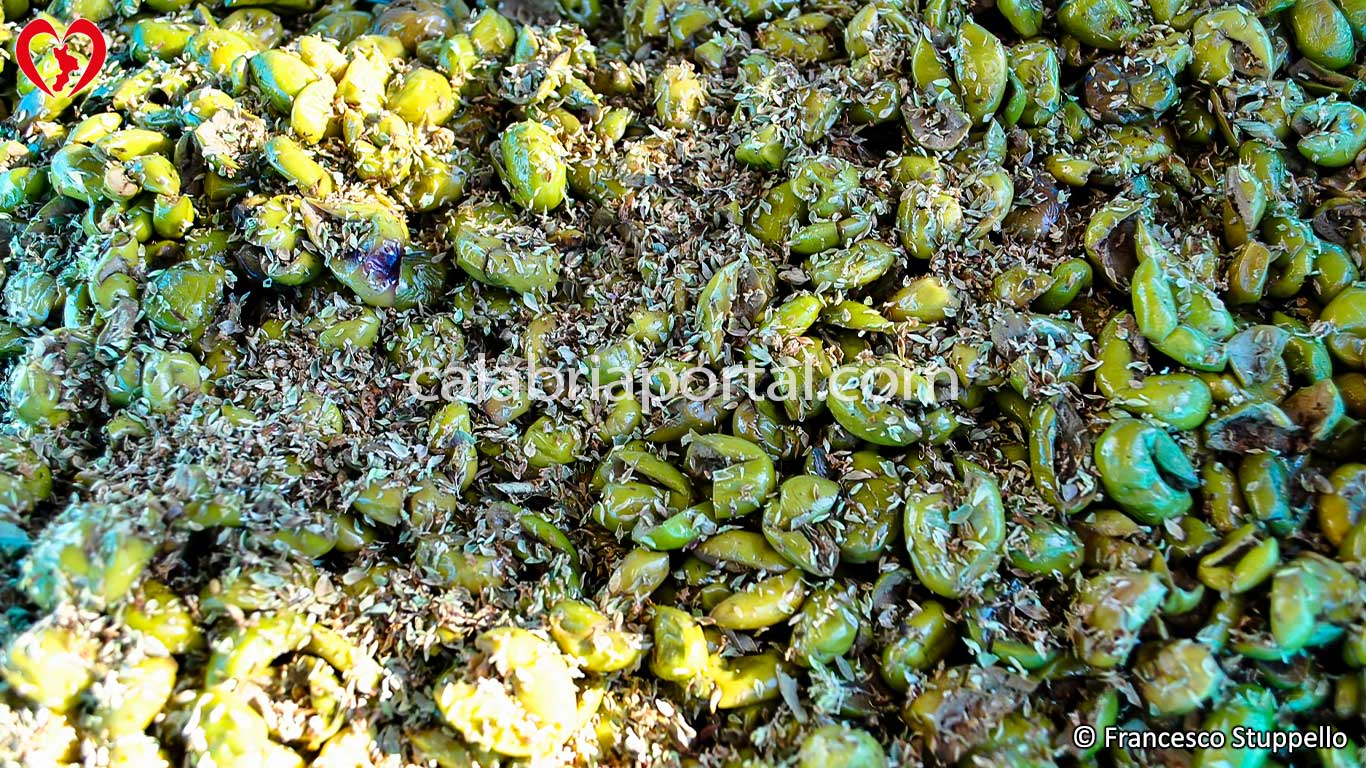 Ricetta delle Olive Schiacciate Sott'Olio alla Calabrese: Origano Selvatico