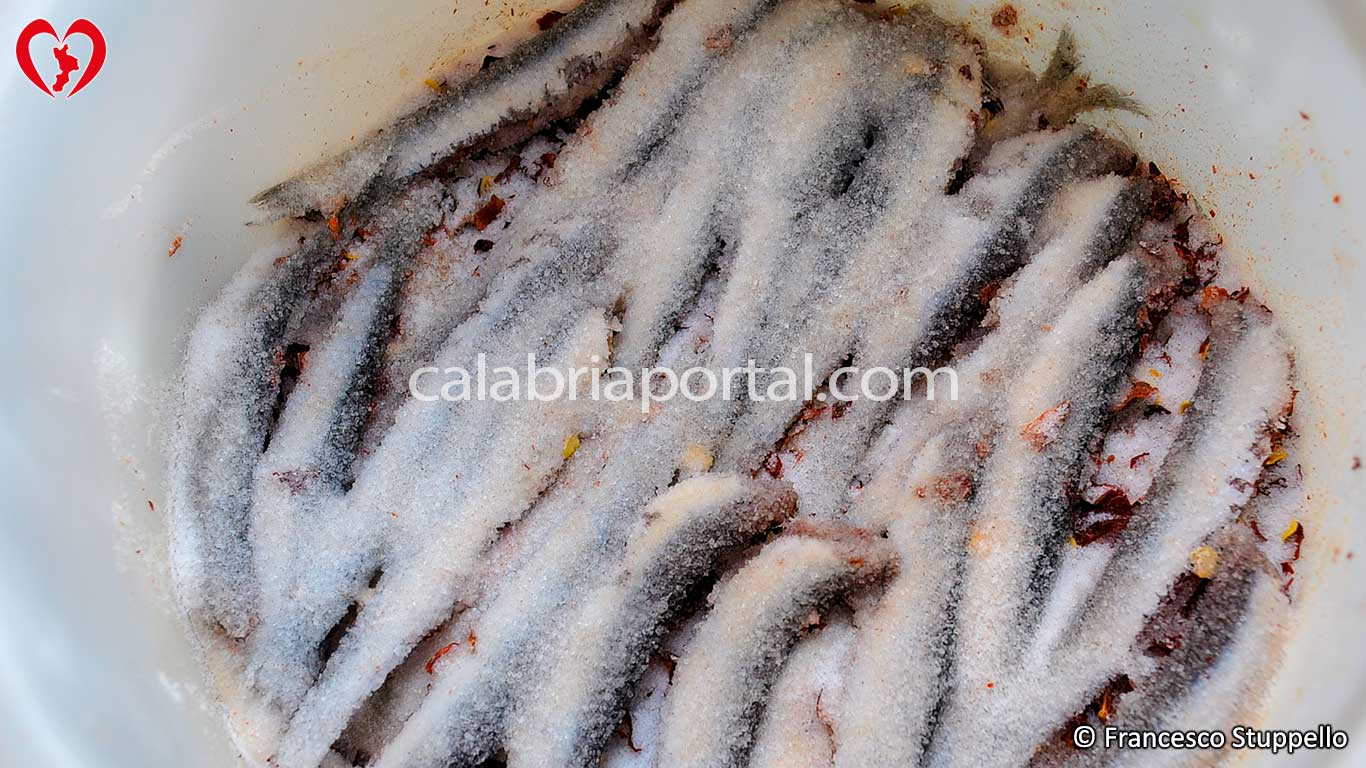 Ricetta per fare le Alici Salate: cospargete di sale il pesce