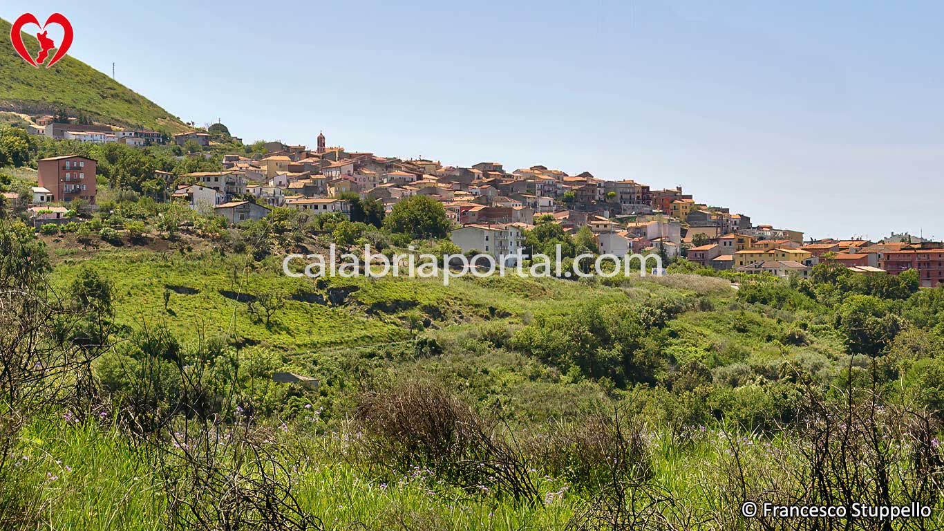 Santa Maria del Cedro (Calabria): cosa vedere, fare, turismo