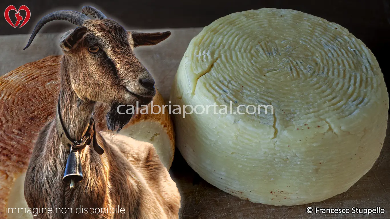 Formaggio di Capra: tipico formaggio della Calabria