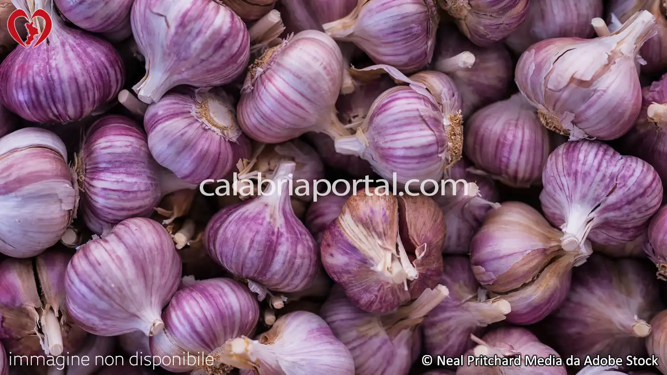 Aglio di Papaglionti