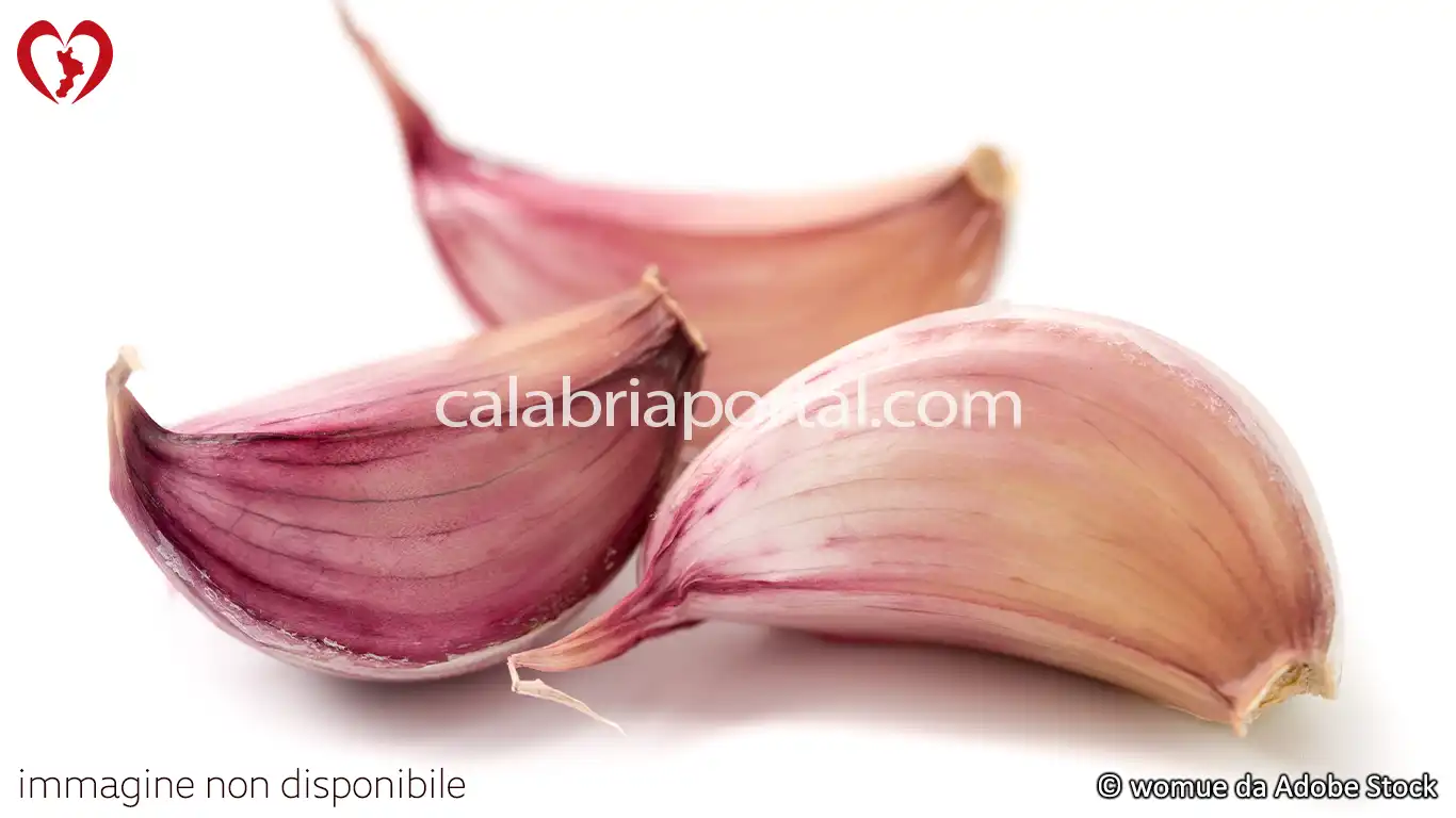 Aglio di Papaglionti
