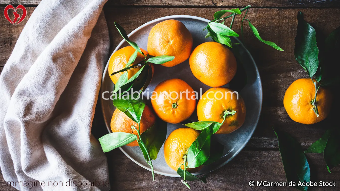 Gli Agrumi Calabresi