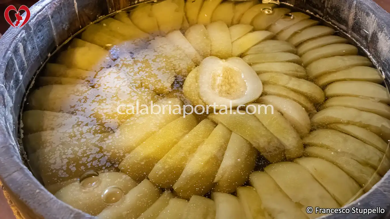 Cedro Liscio Diamante: il Cedro della Calabria Cedro Liscio Diamante: il Cedro della Calabria