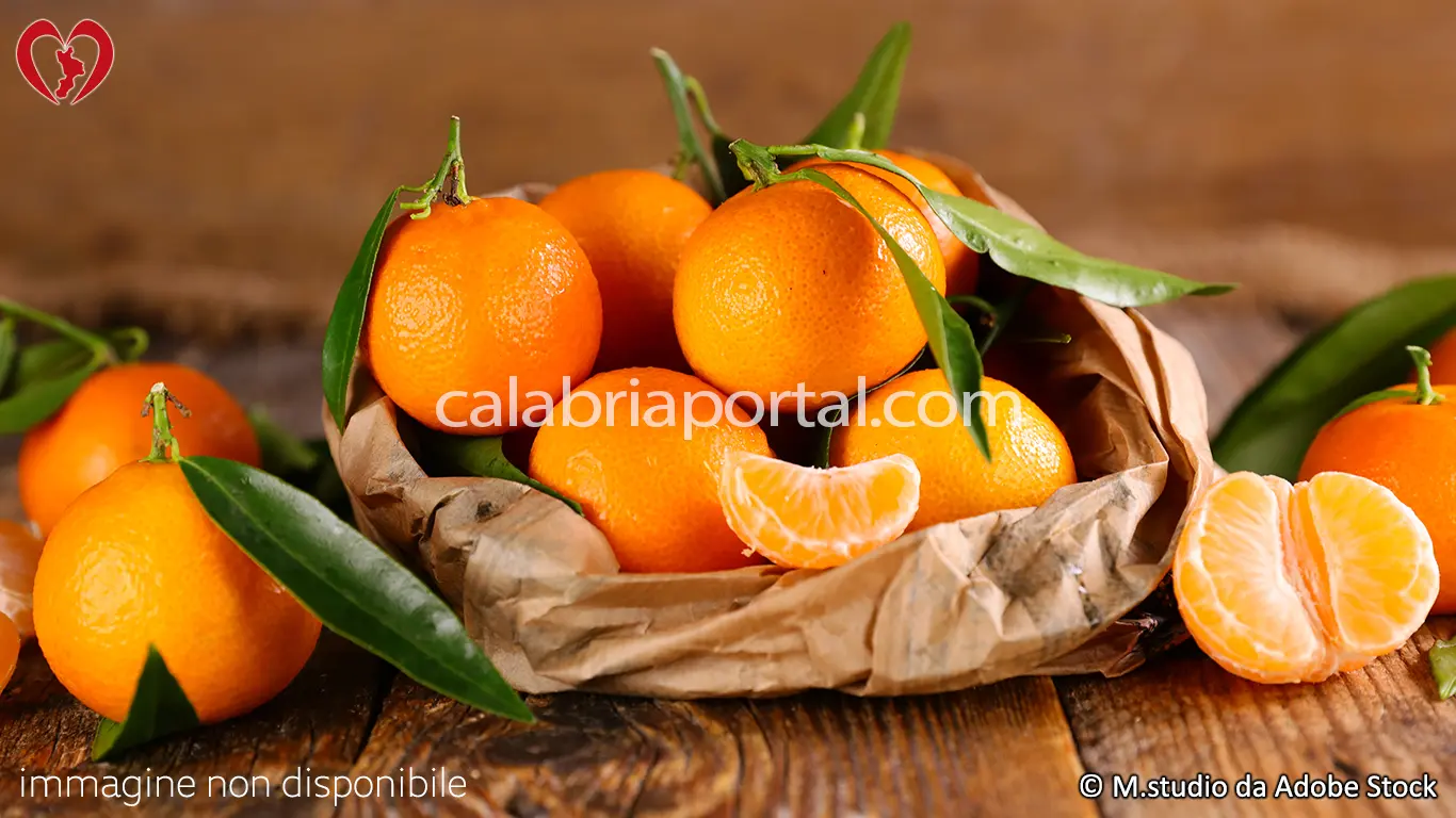 Clementina Calabrese