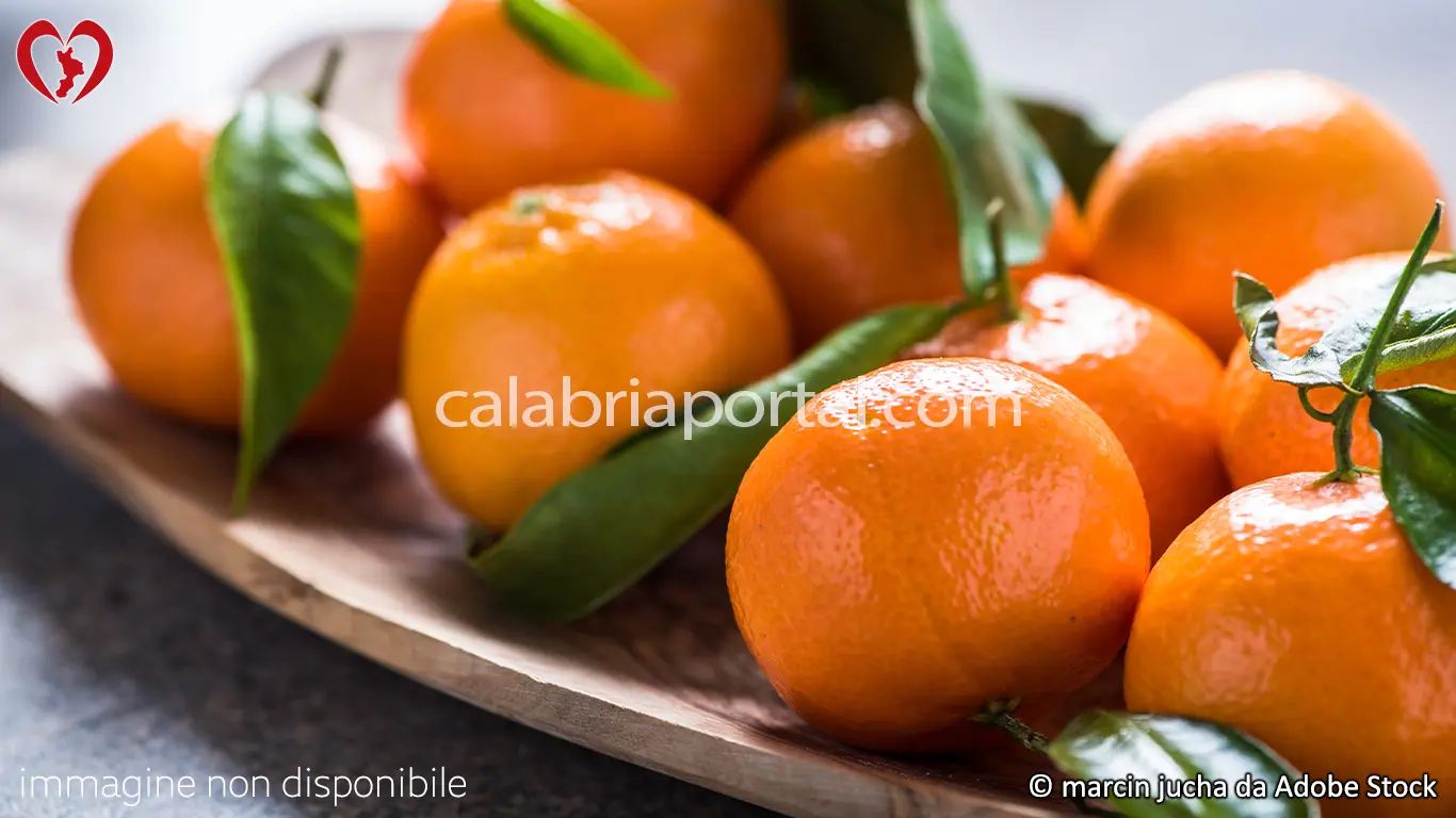 Le Clementine Calabresi Le Clementine Calabresi