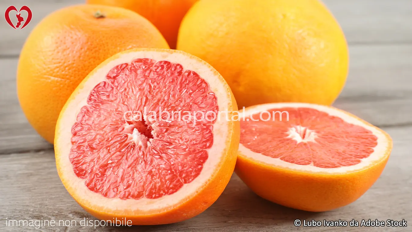 Pompelmo di Lamezia Terme