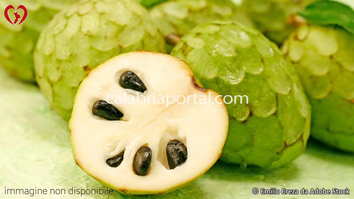 L'Annona Reggina