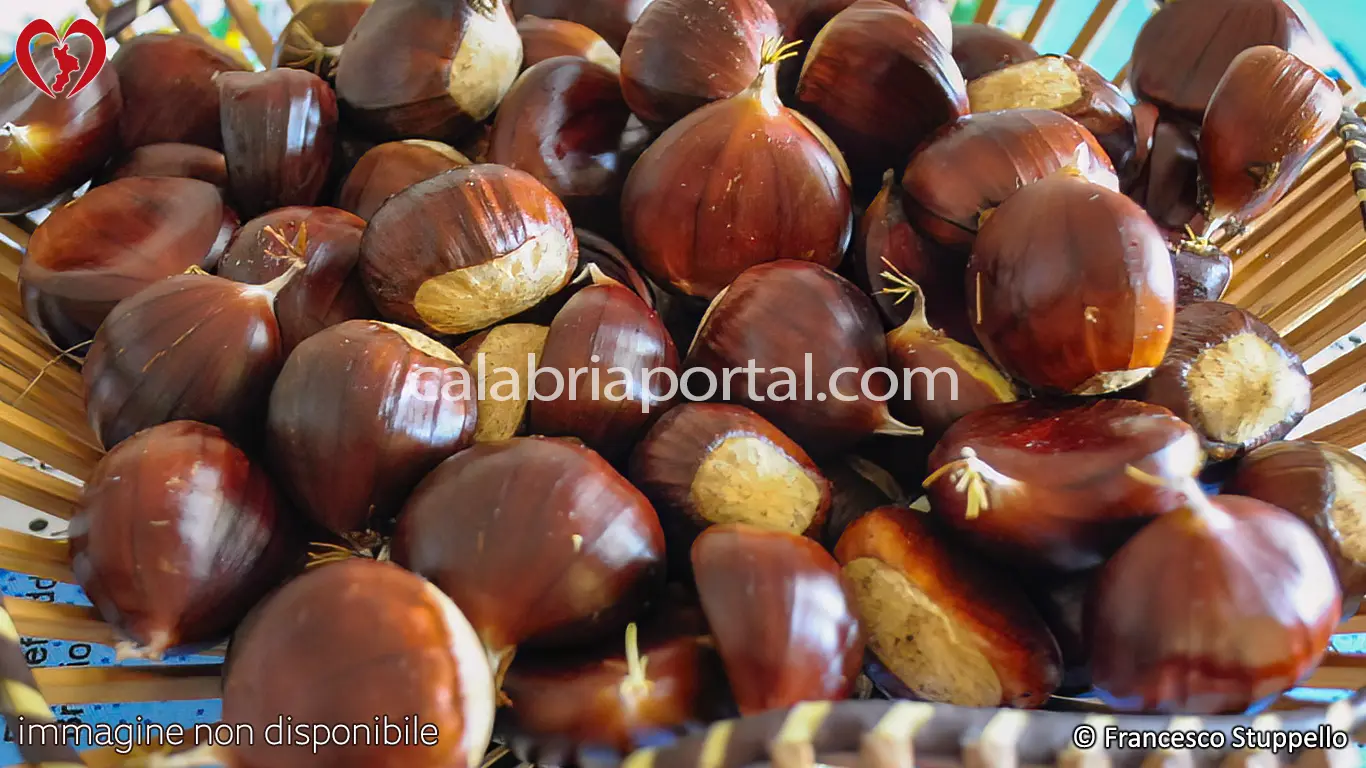 Le Castagne della Calabria
