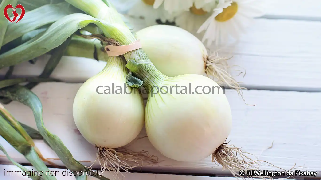 Cipolla Bianca di Castrovillari