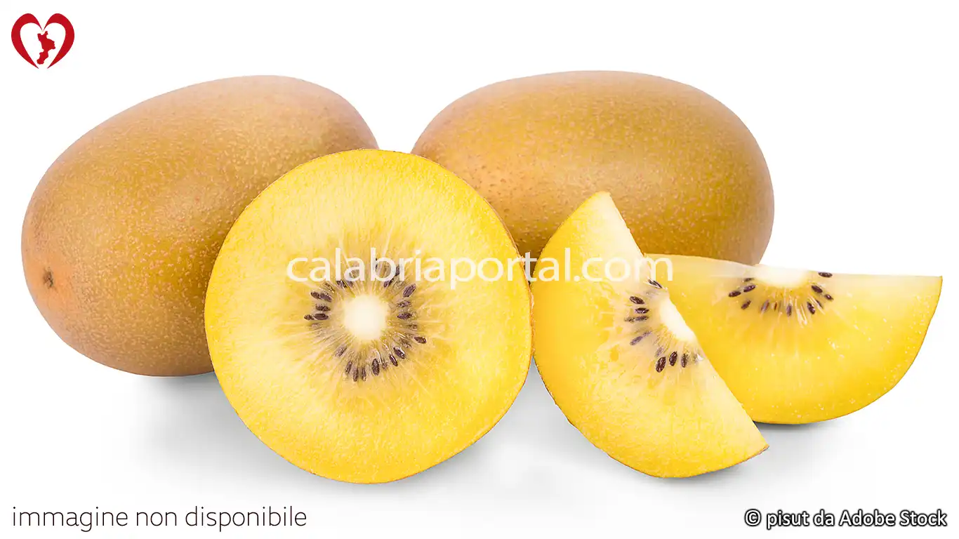 Kiwi della Calabria Kiwi della Calabria