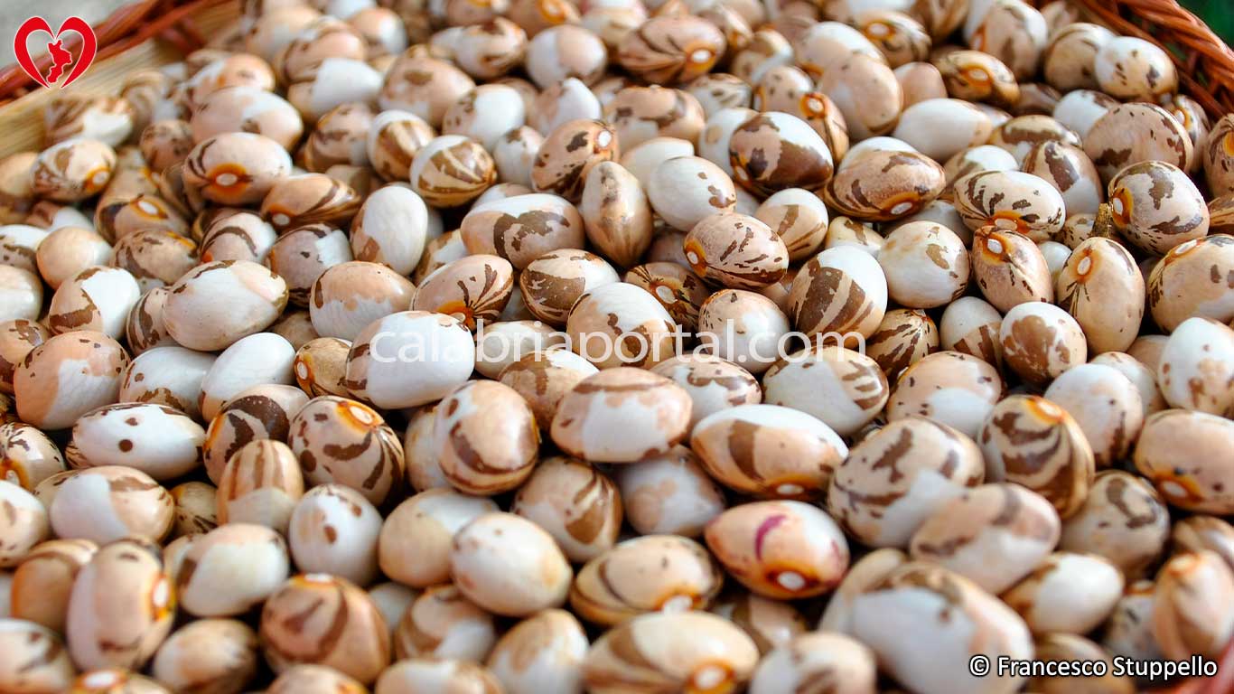 Fagioli Capomacchia Fagioli Capomacchia