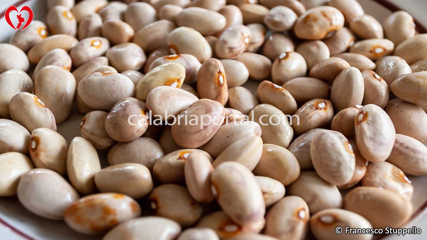 Fagioli Quarantini di Tortora