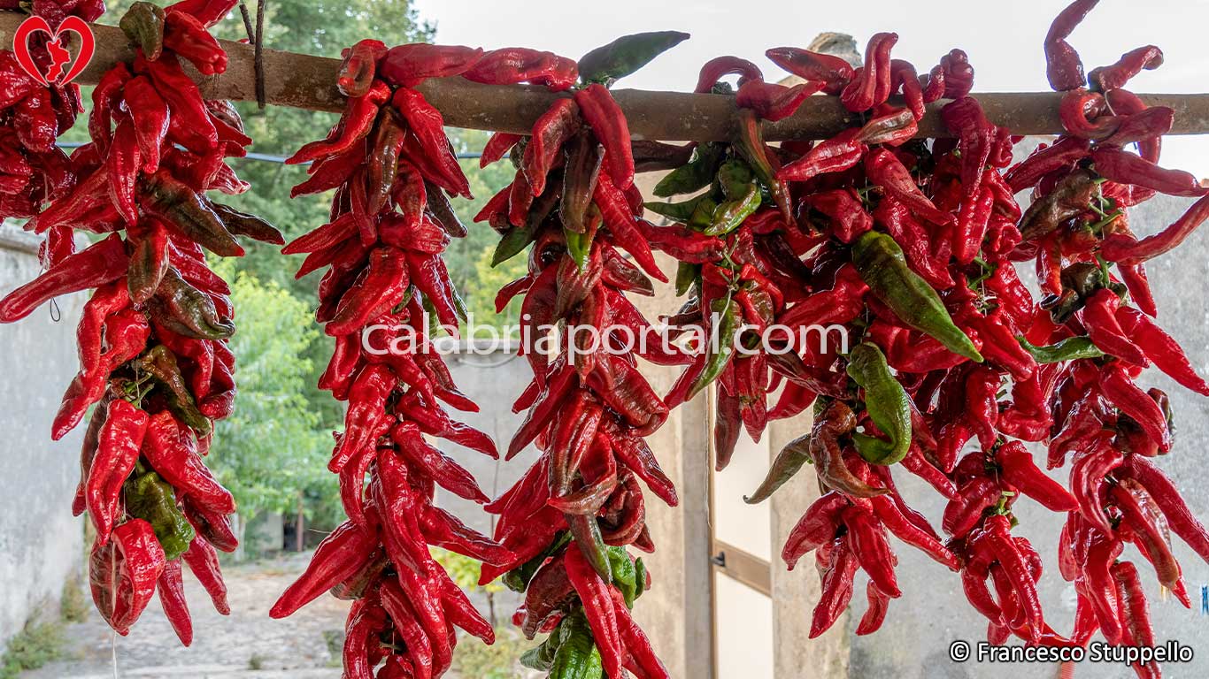 Trecce di Peperone Roggianese in Essiccazione Trecce di Peperone Roggianese in Essiccazione