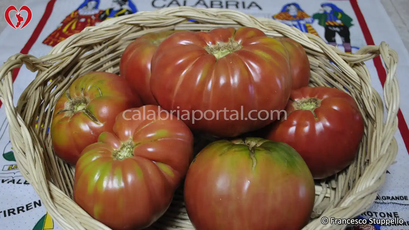 Pomodoro di Belmonte - Calabria