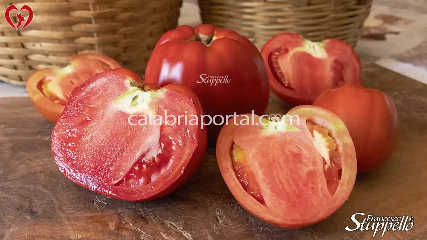 Pomodoro Pero di Bisignano Pomodoro Pero di Bisignano