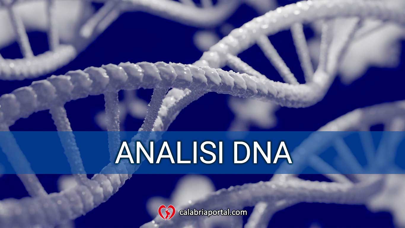 Analisi DNA Veterinario - Clinica Veterinaria San Giorgio (RC) Analisi DNA Veterinario - Clinica Veterinaria San Giorgio (RC)