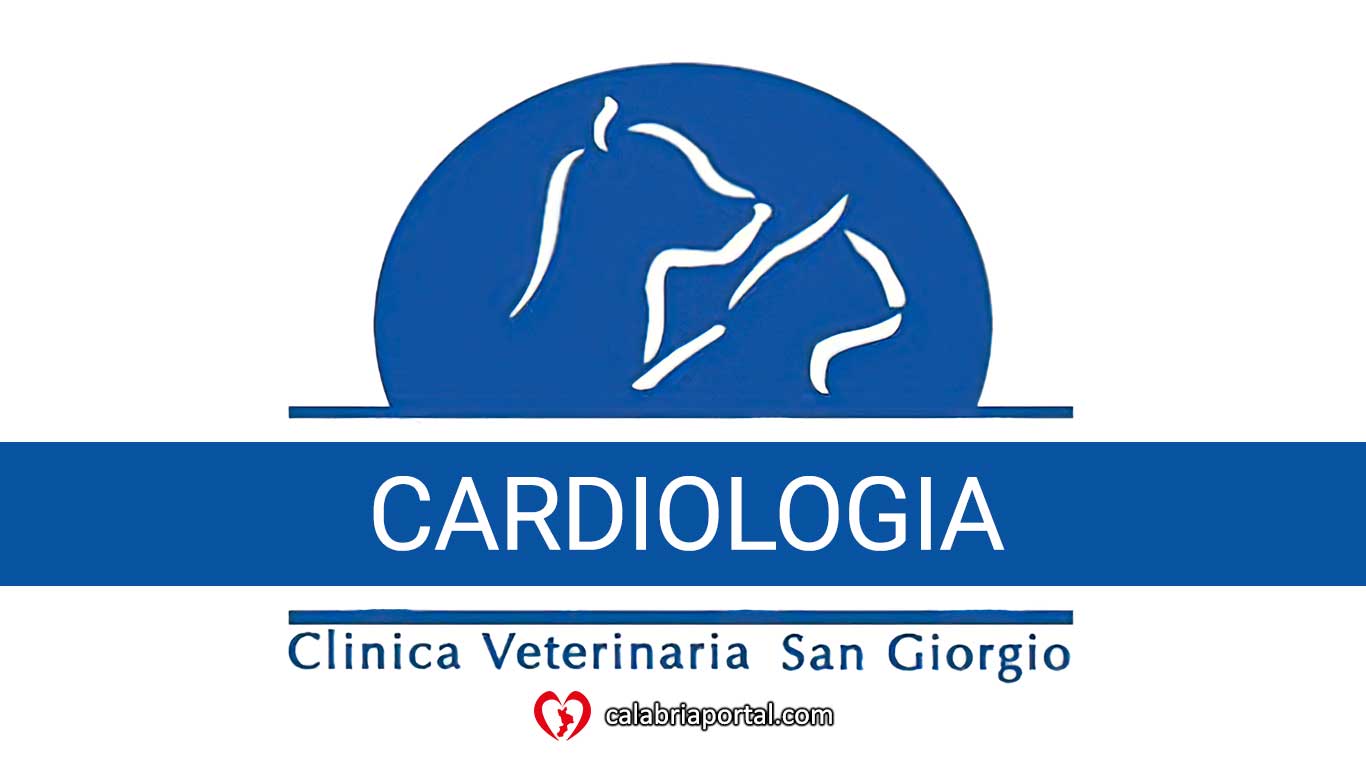 Cardiologia - Clinica Veterinaria San Giorgio (RC) Cardiologia - Clinica Veterinaria San Giorgio (RC)