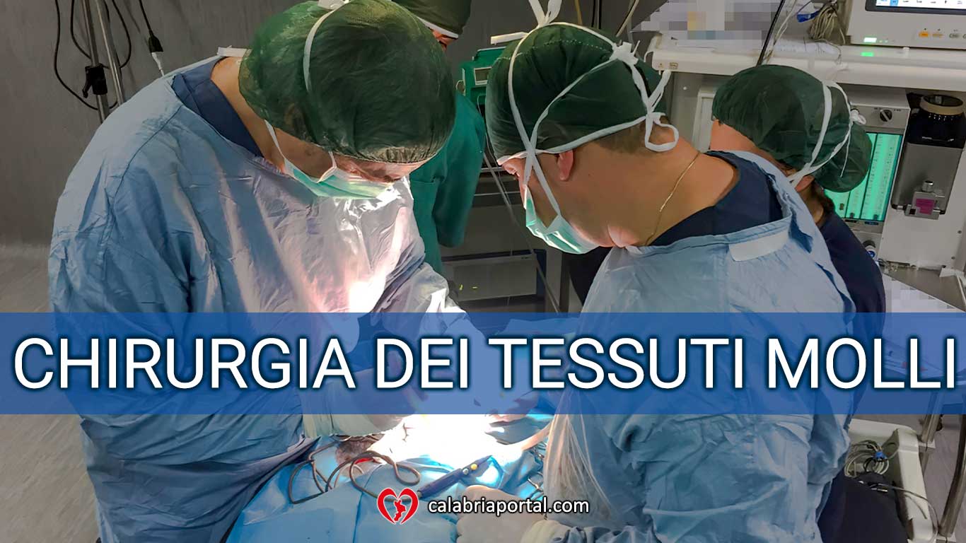Chirurgia dei Tessuti Molli - Clinica Veterinaria San Giorgio (RC) Chirurgia dei Tessuti Molli - Clinica Veterinaria San Giorgio (RC)