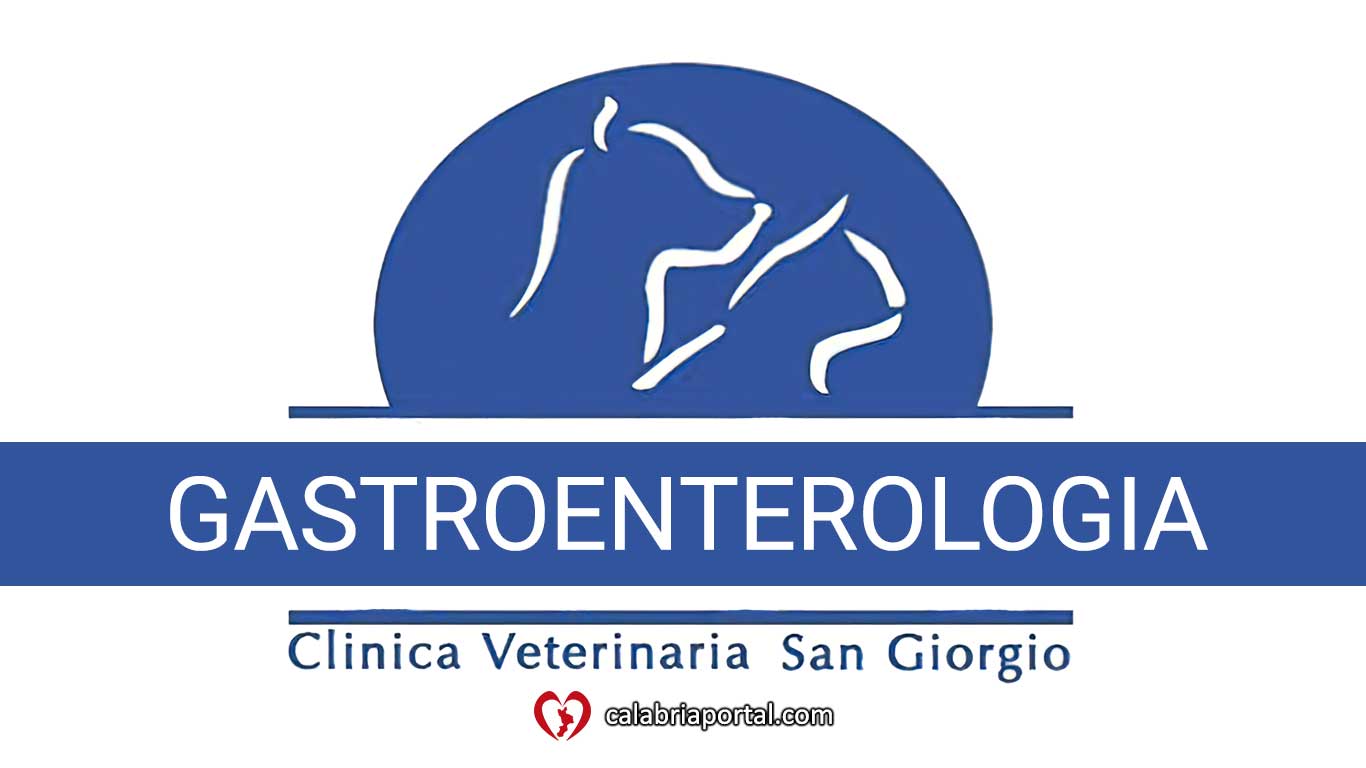 Gastroenterologia - Clinica Veterinaria San Giorgio (RC) Gastroenterologia - Clinica Veterinaria San Giorgio (RC)