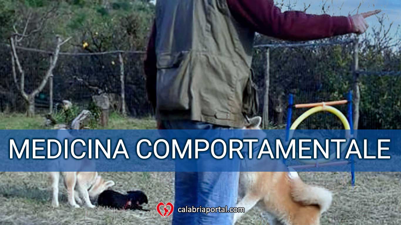Medicina Comportamentale - Clinica Veterinaria San Giorgio (RC) Medicina Comportamentale - Clinica Veterinaria San Giorgio (RC)