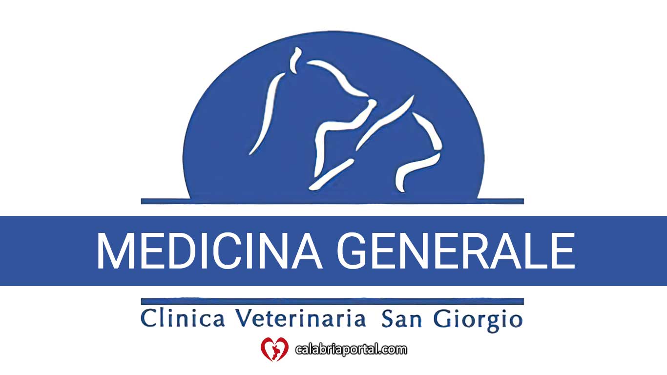 Medicina Generale - Clinica Veterinaria San Giorgio (RC) Medicina Generale - Clinica Veterinaria San Giorgio (RC)