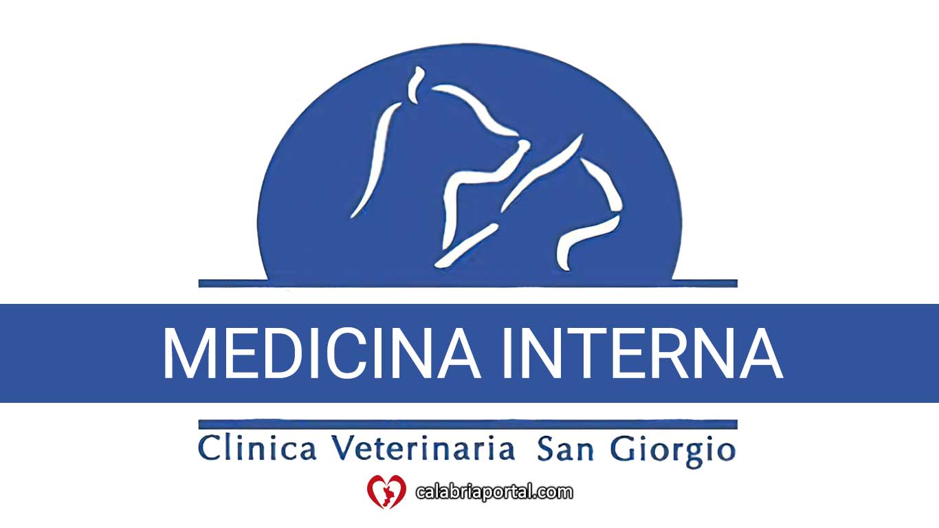 Medicina Interna - Clinica Veterinaria San Giorgio (RC) Medicina Interna - Clinica Veterinaria San Giorgio (RC)