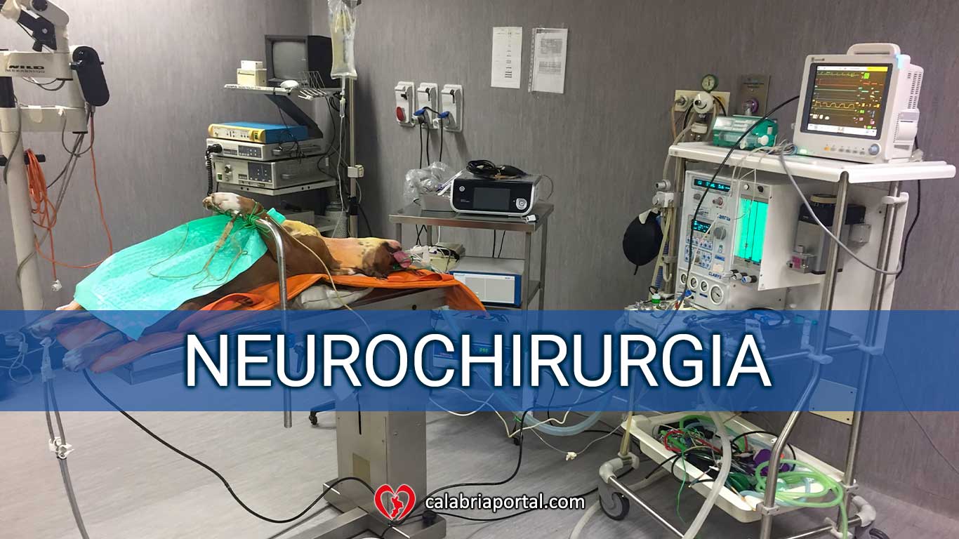 Neurochirurgia - Clinica Veterinaria San Giorgio (RC) Neurochirurgia - Clinica Veterinaria San Giorgio (RC)