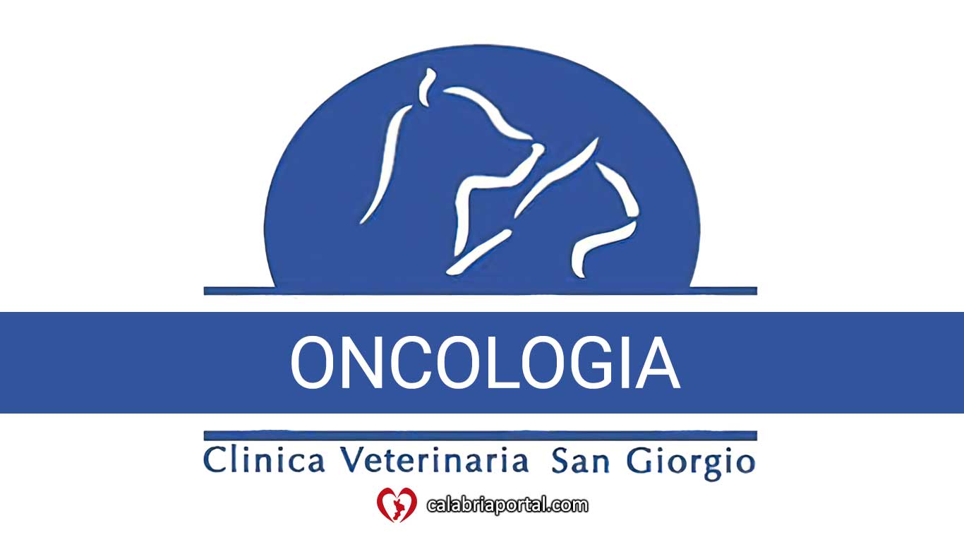 Oncologia - Clinica Veterinaria San Giorgio (RC) Oncologia - Clinica Veterinaria San Giorgio (RC)