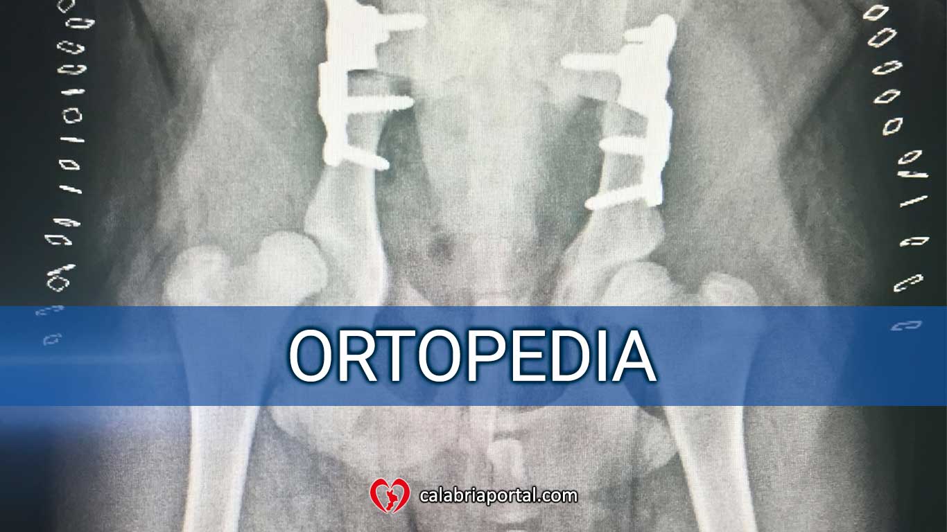 Ortopedia - Clinica Veterinaria San Giorgio (RC) Ortopedia - Clinica Veterinaria San Giorgio (RC)