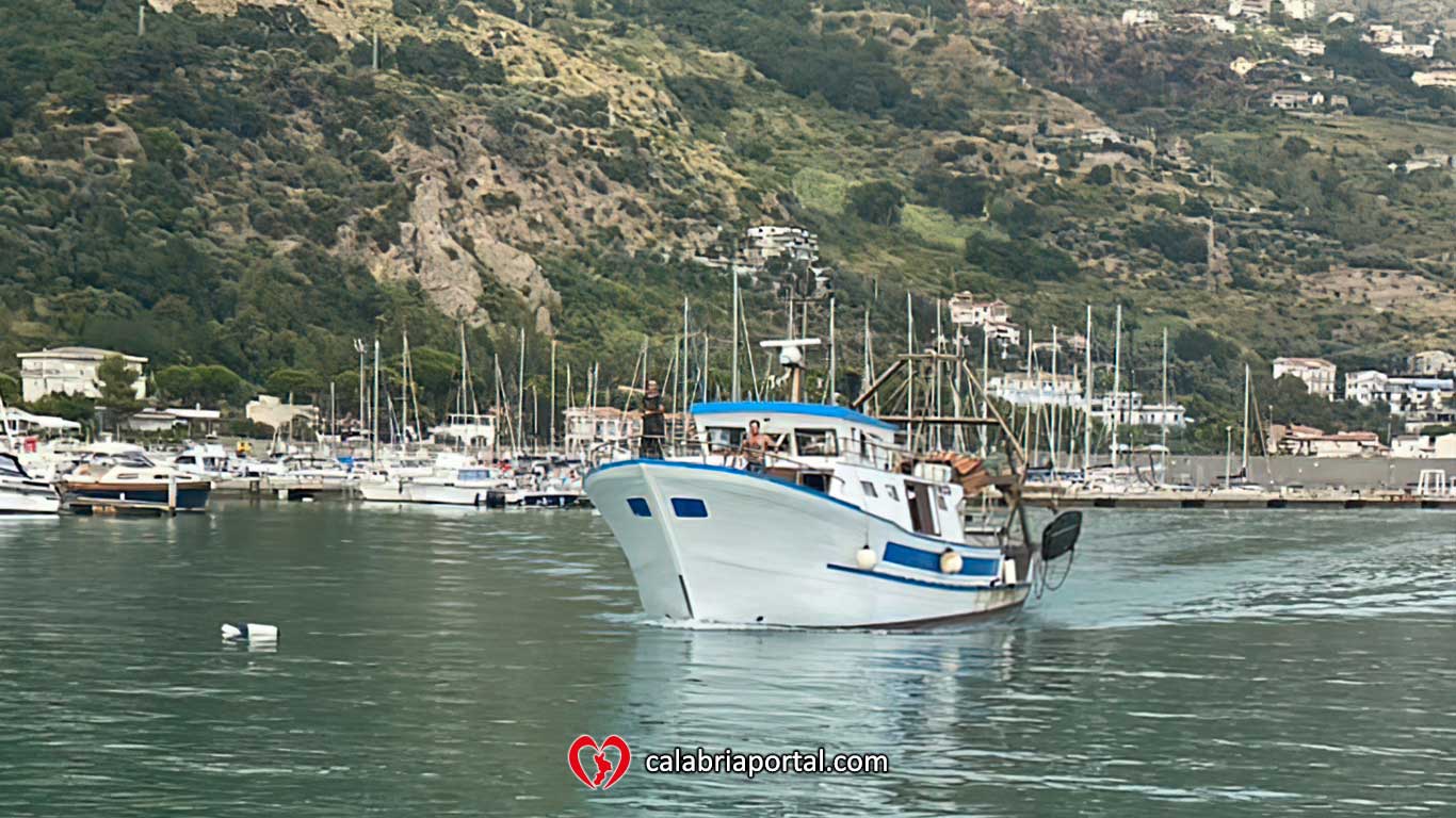 Pesce freschissimo a km zero pescato da Valerio - Elite Restaurant Cetraro
