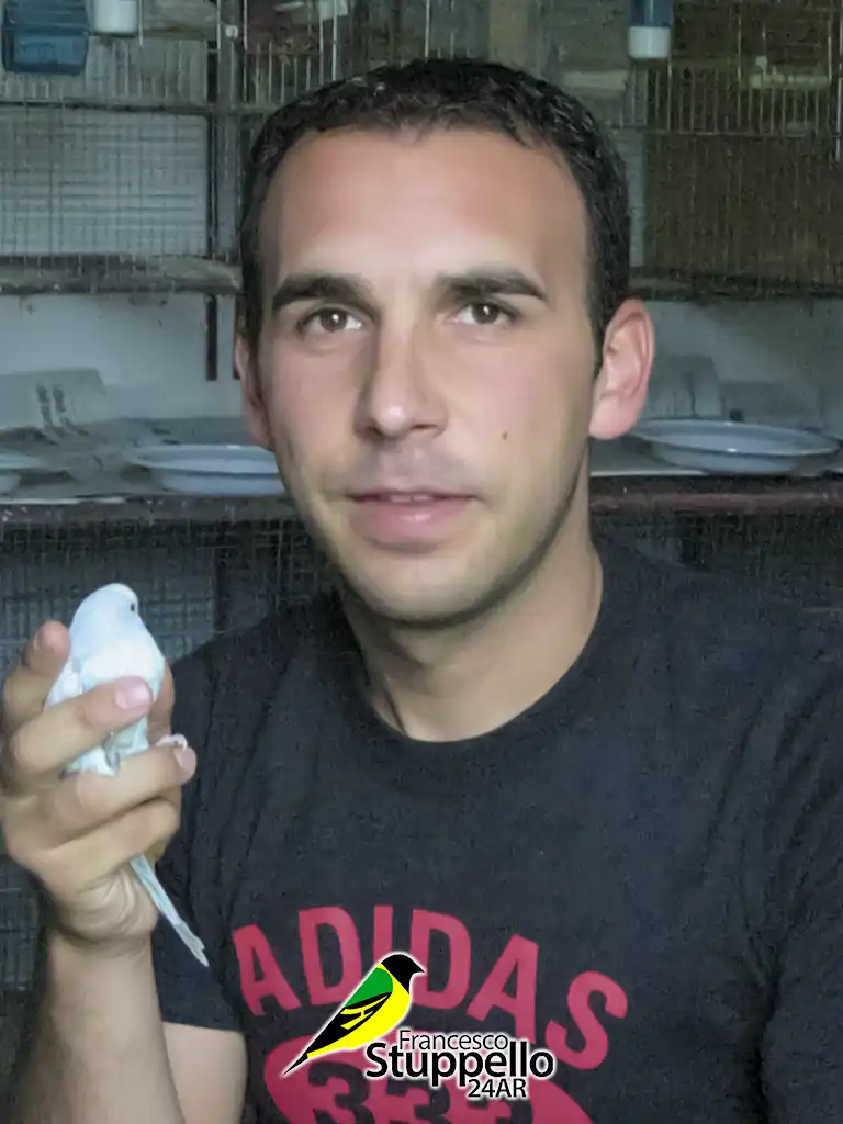 2005: Tortora, in allevamento con un giovane ondulato di colore