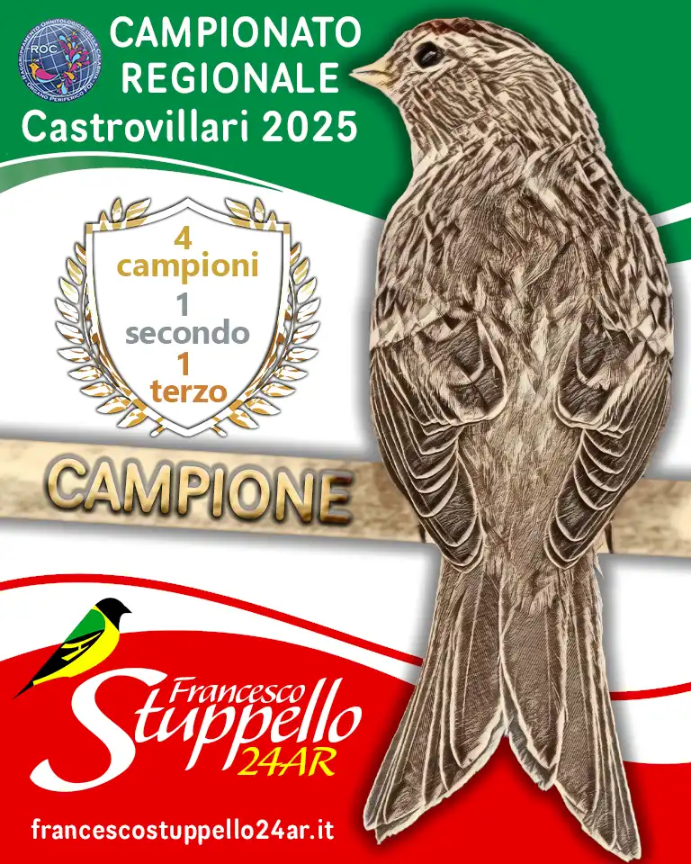 Campionato Regionale Calabro 2025