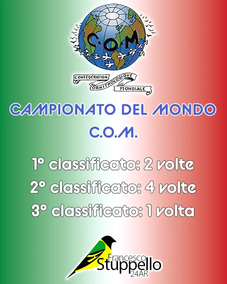 Campionato del Mondo