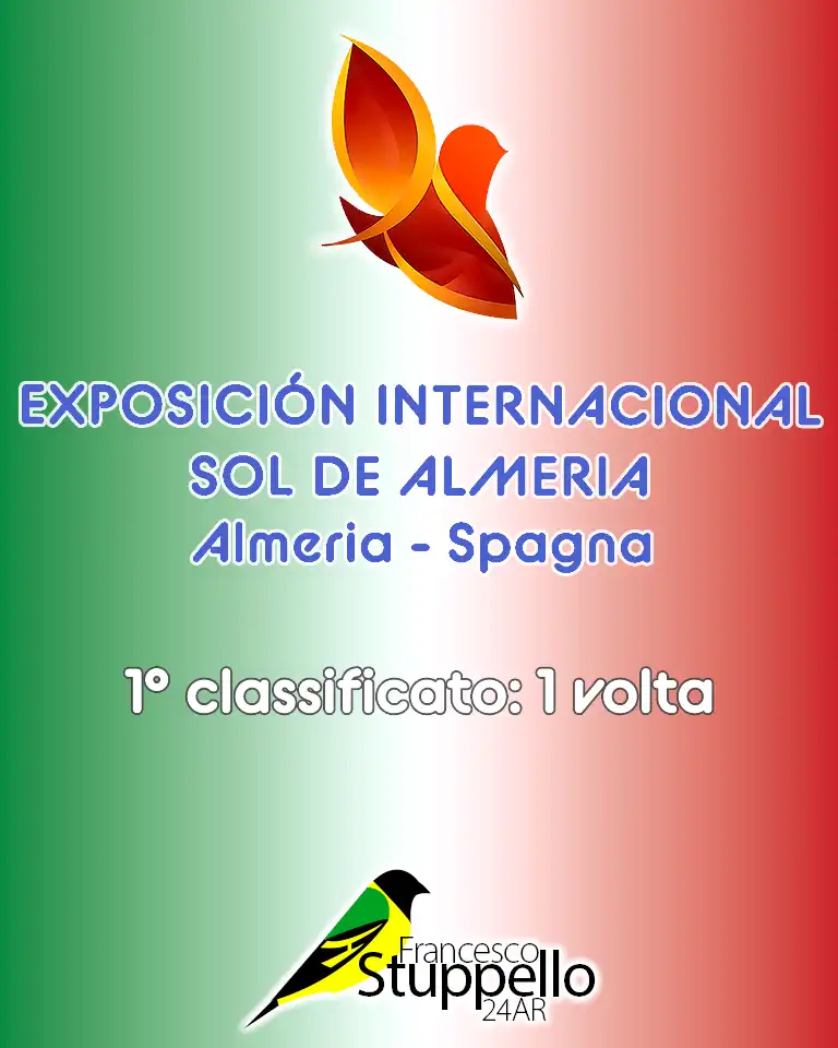 Mostra Internazionale Sol de Almeria (Spagna)