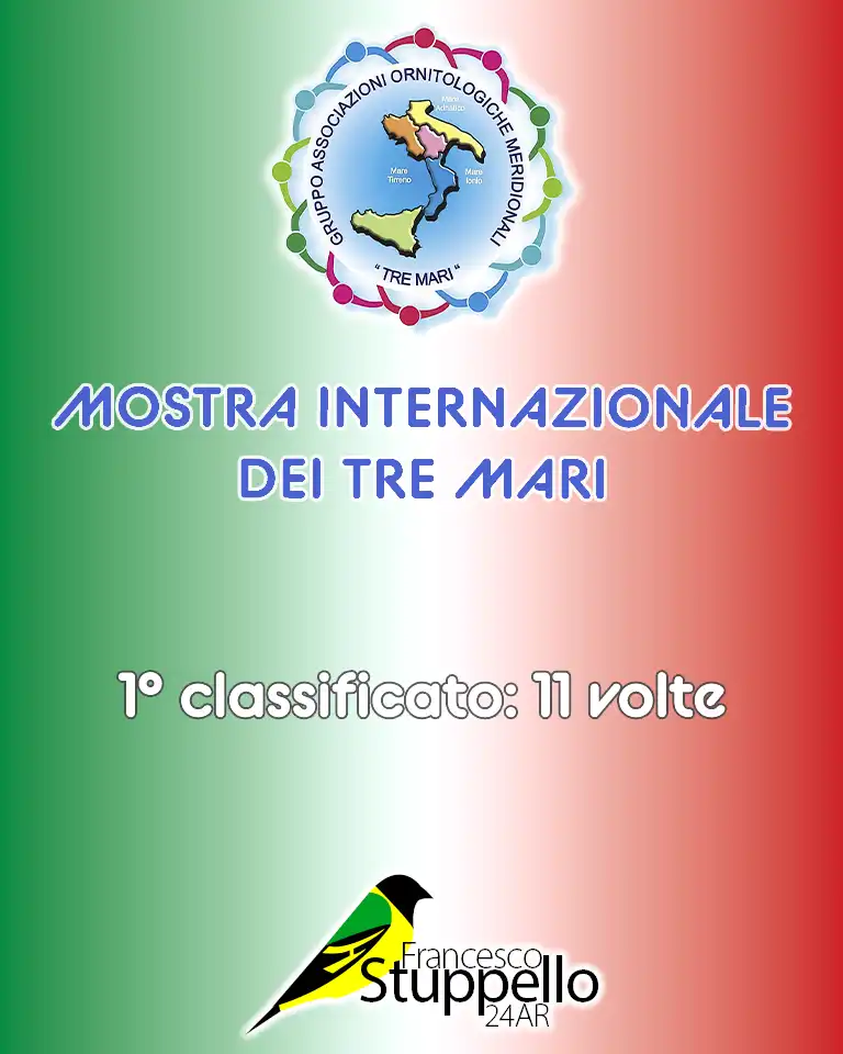 Mostra Internazionale dei Tre Mari