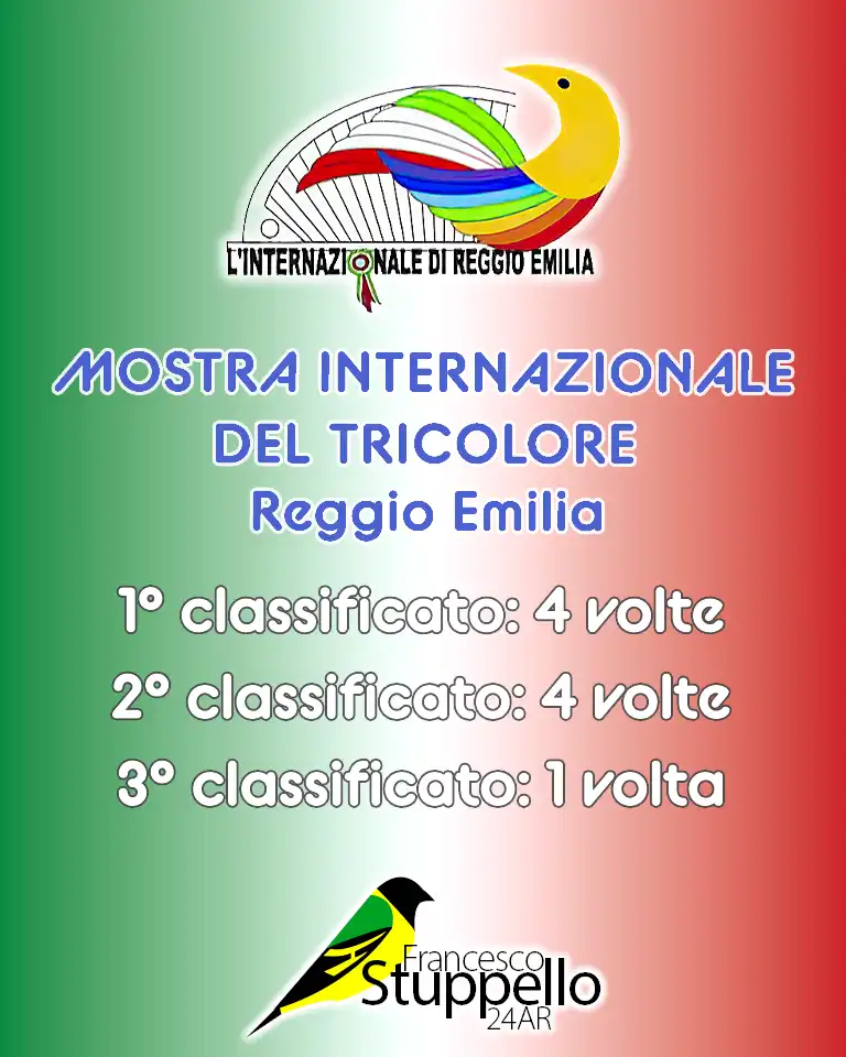 Mostra Internazionale del Tricolore - Reggio Emilia