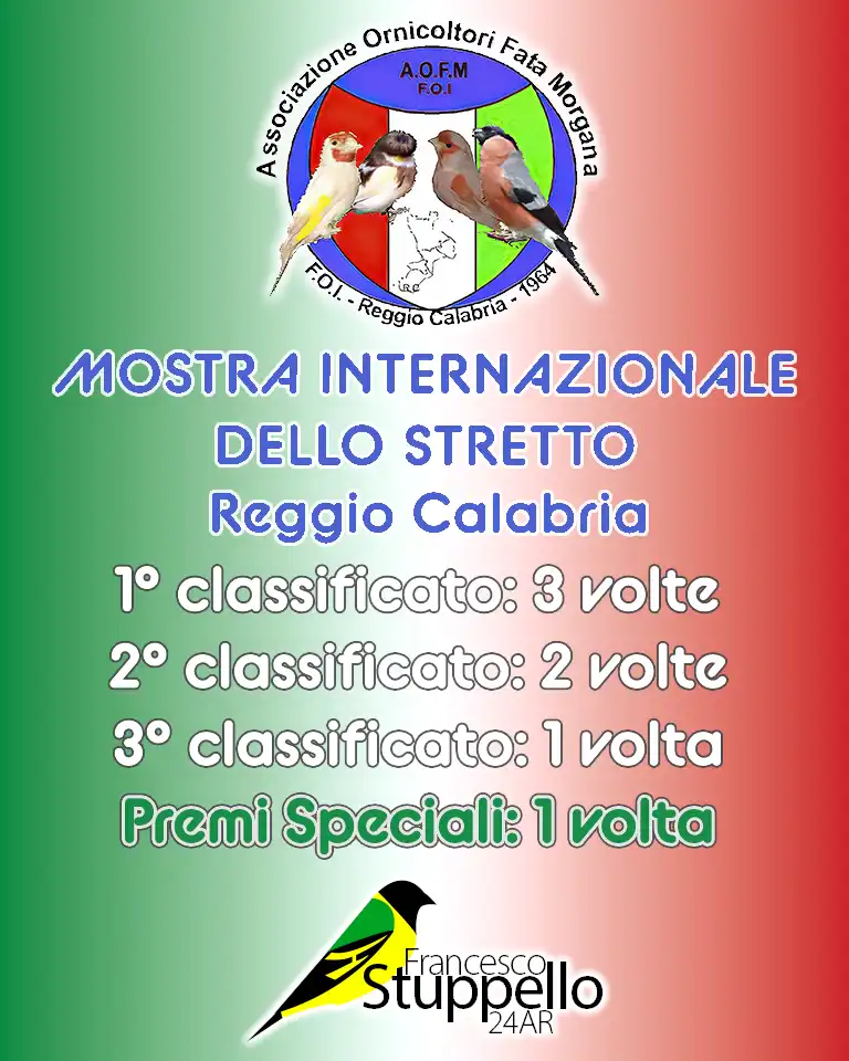 Mostra Internazionale dello Stretto - Reggio Calabria