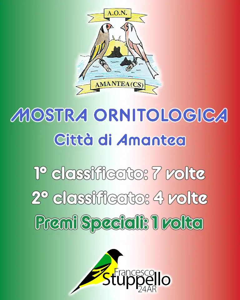Mostra Ornitologica Città di Amantea