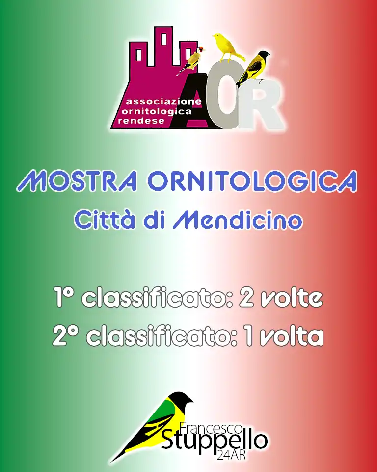 Mostra Ornitologica Città di Mendicino