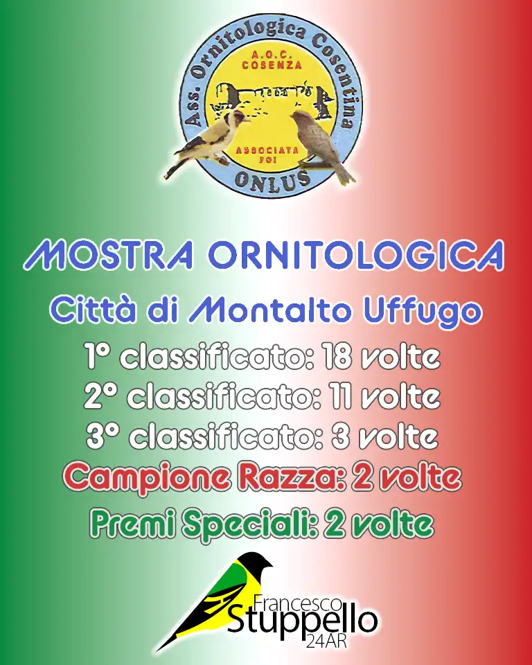 Mostra Ornitologica Città di Montalto Uffugo