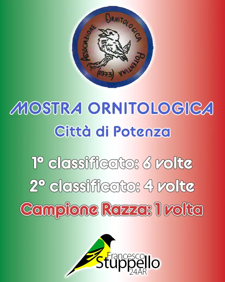Mostra Ornitologica Città di Potenza