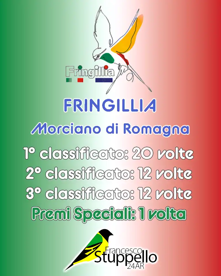 Fringillia