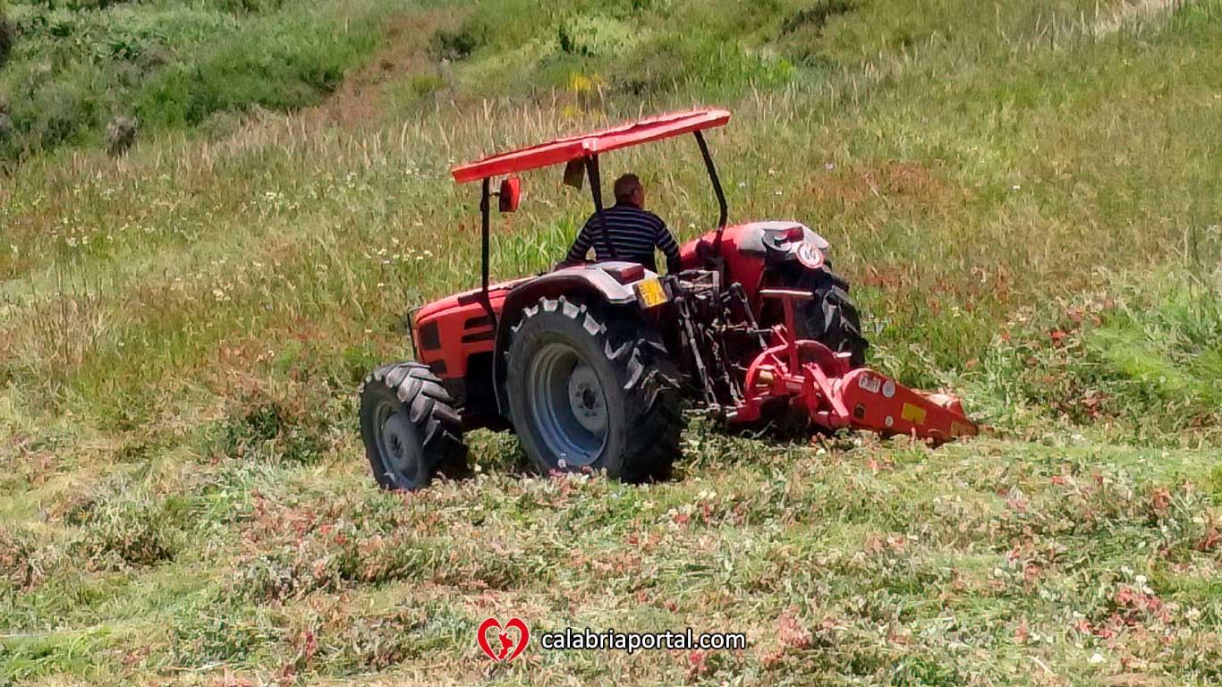 Lavorazione del terreno con trattore - Azienda Agricola Paletta Franco