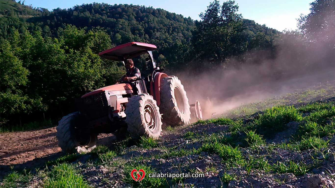 Aratura autunnale dei campi aziendali - Azienda Agricola Paletta Franco