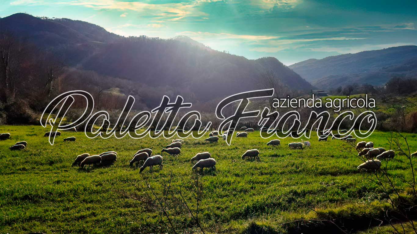 Azienda Agricola Paletta Franco - Cetraro Azienda Agricola Paletta Franco a Sant'Angelo di Cetraro