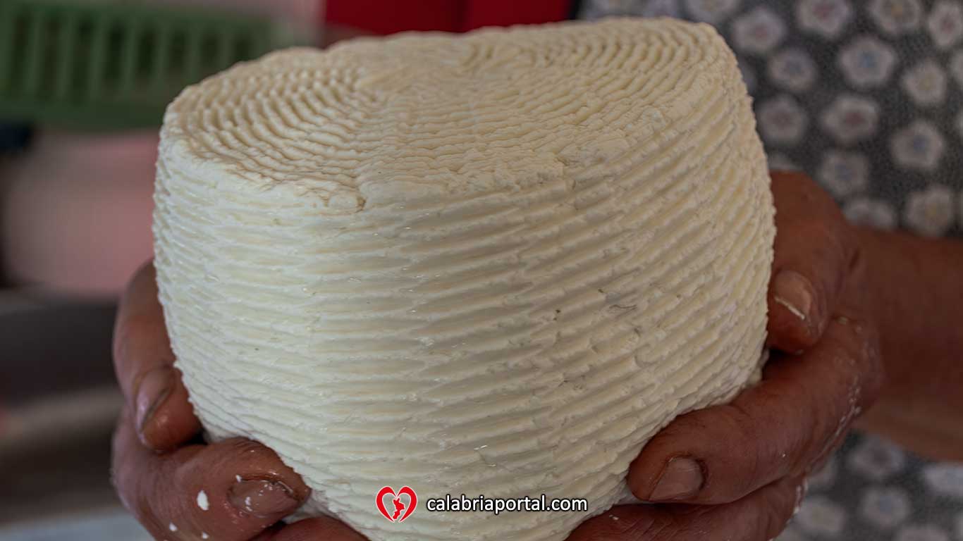 Formaggio Fresco Artigianale - Azienda Agricola Paletta Franco